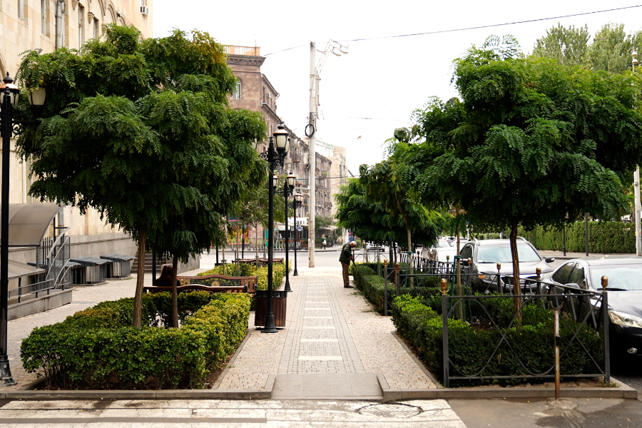 Evergreen bushes in Alek Manukyan Street