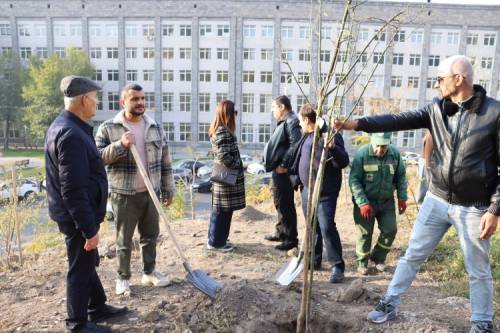 Tree planting for International Volunteer Day