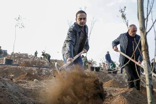 Restoration of former Nork gardens has begun: about 2,500 trees have been planted