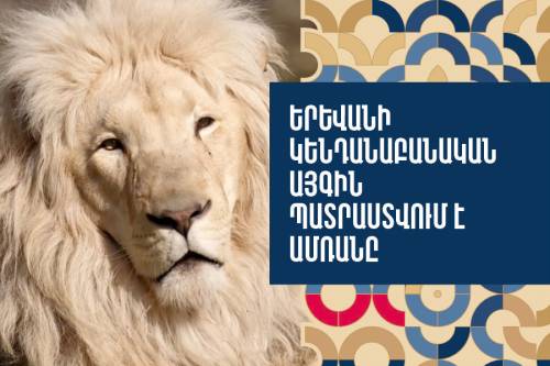 Yerevan Zoo Prepares for Summer Season