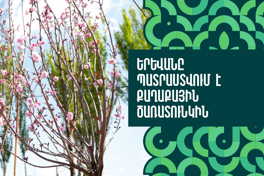 Yerevan prepares for a citywide tree planting action