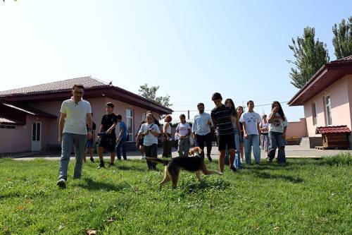 Yerevan Municipality Launches New Social Initiative