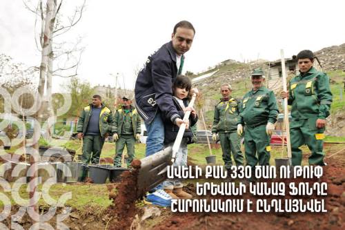 Ավելի քան 330 ծառ ու թուփ. Երևանի կանաչ ֆոնդը շարունակում է ընդլայնվել