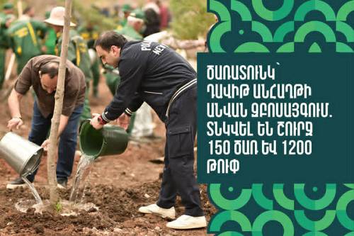 Tree Planting in Davit Anhaght Park: Around 150 Trees and 1,200 Shrubs Added